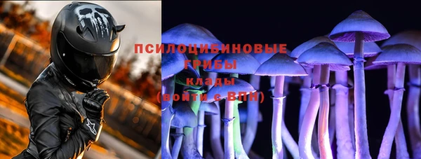 PSILOCYBIN Володарск