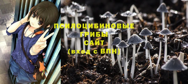 PSILOCYBIN Володарск