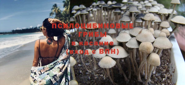 PSILOCYBIN Володарск